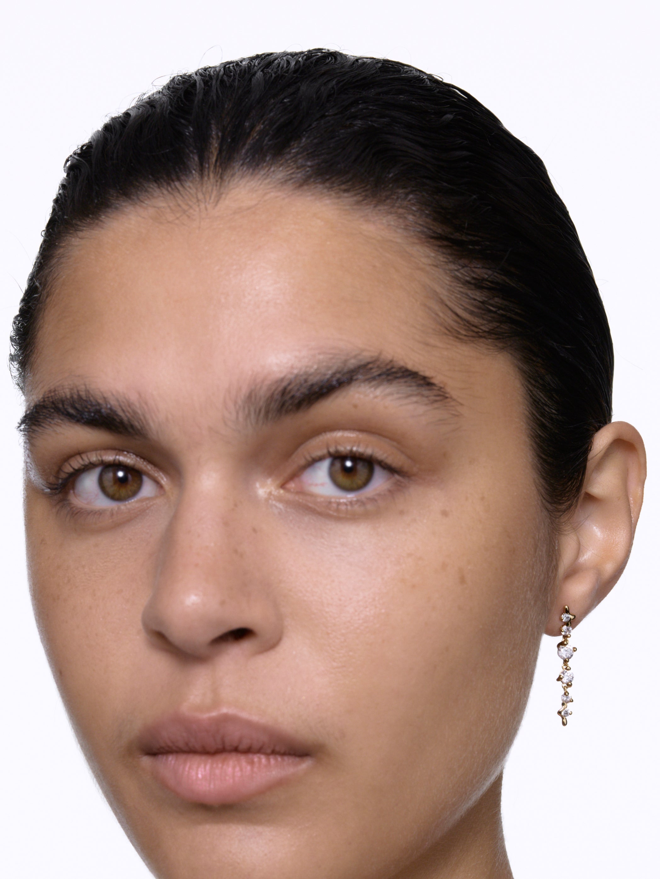 Arctic Medium Ørering