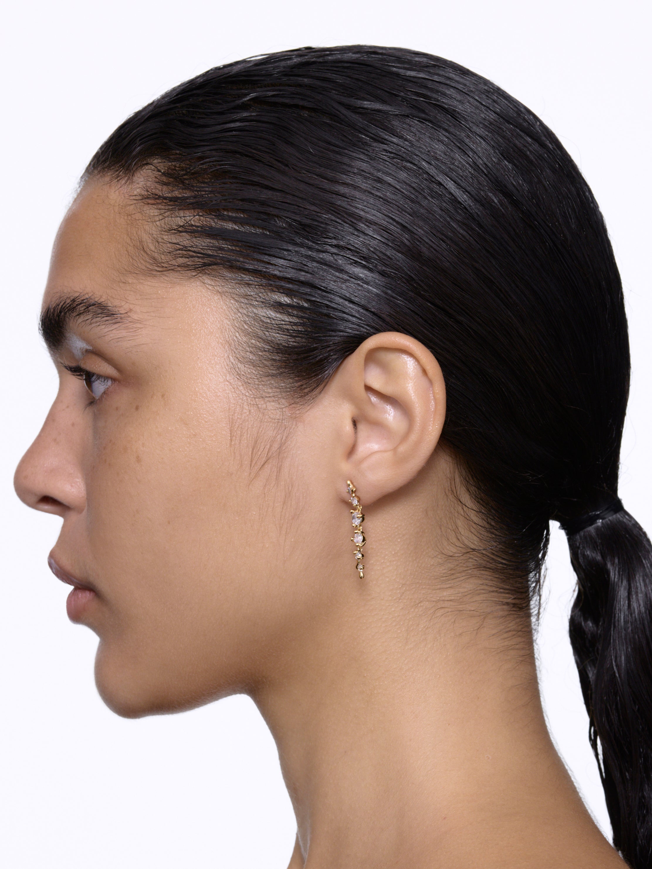 Arctic Medium Ørering