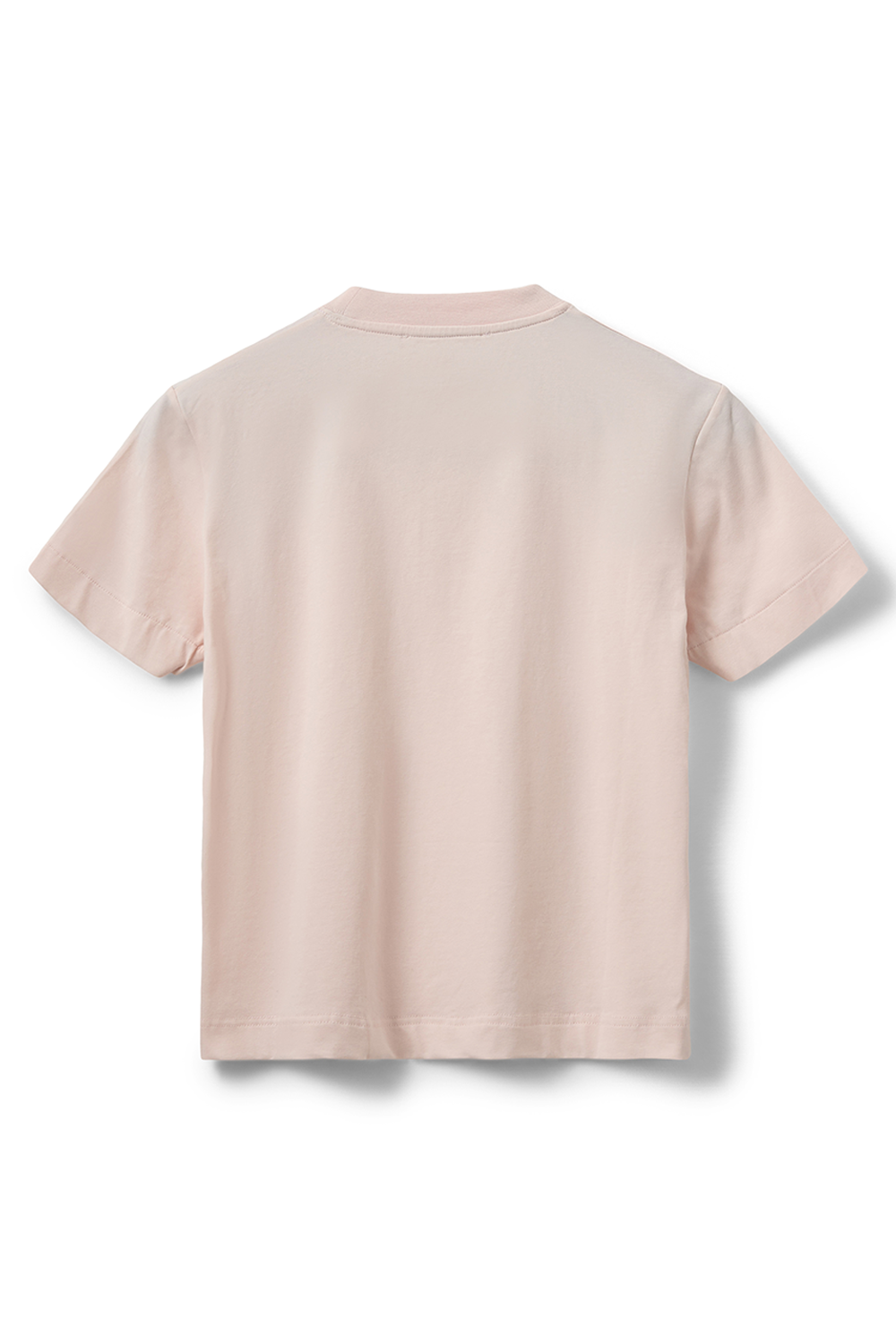 IndySW T-shirt