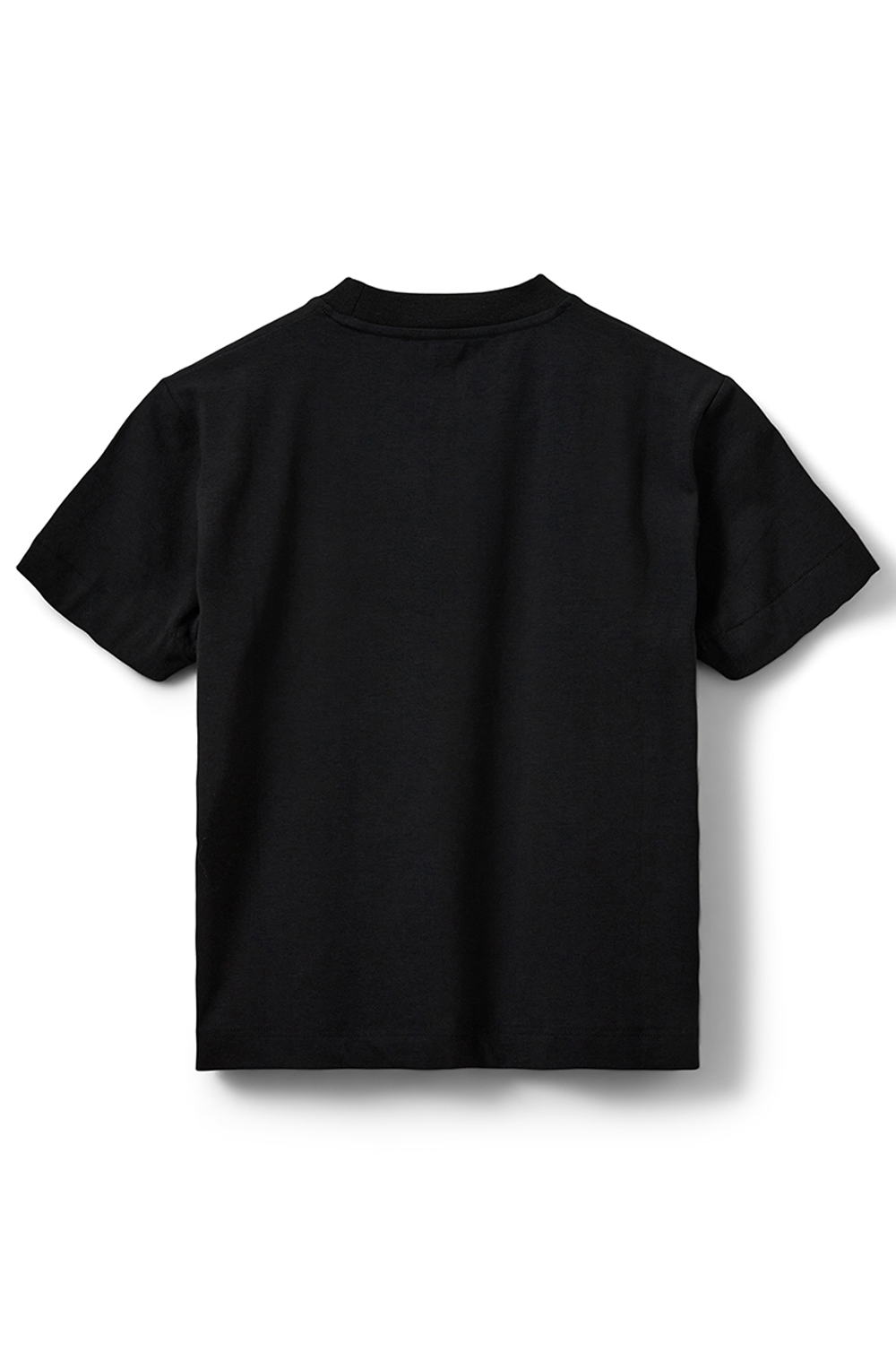 IndySW T-shirt