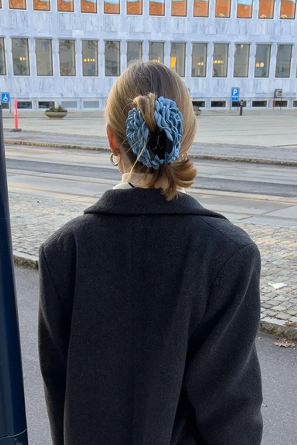 Daisy Hårklemme