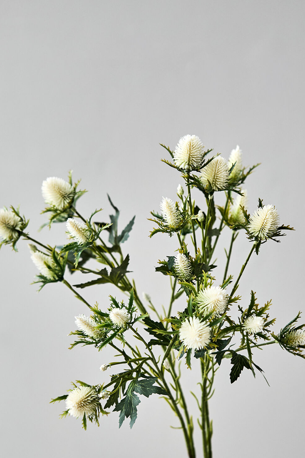 Kunstig blomst, HDEryngium, Hvid