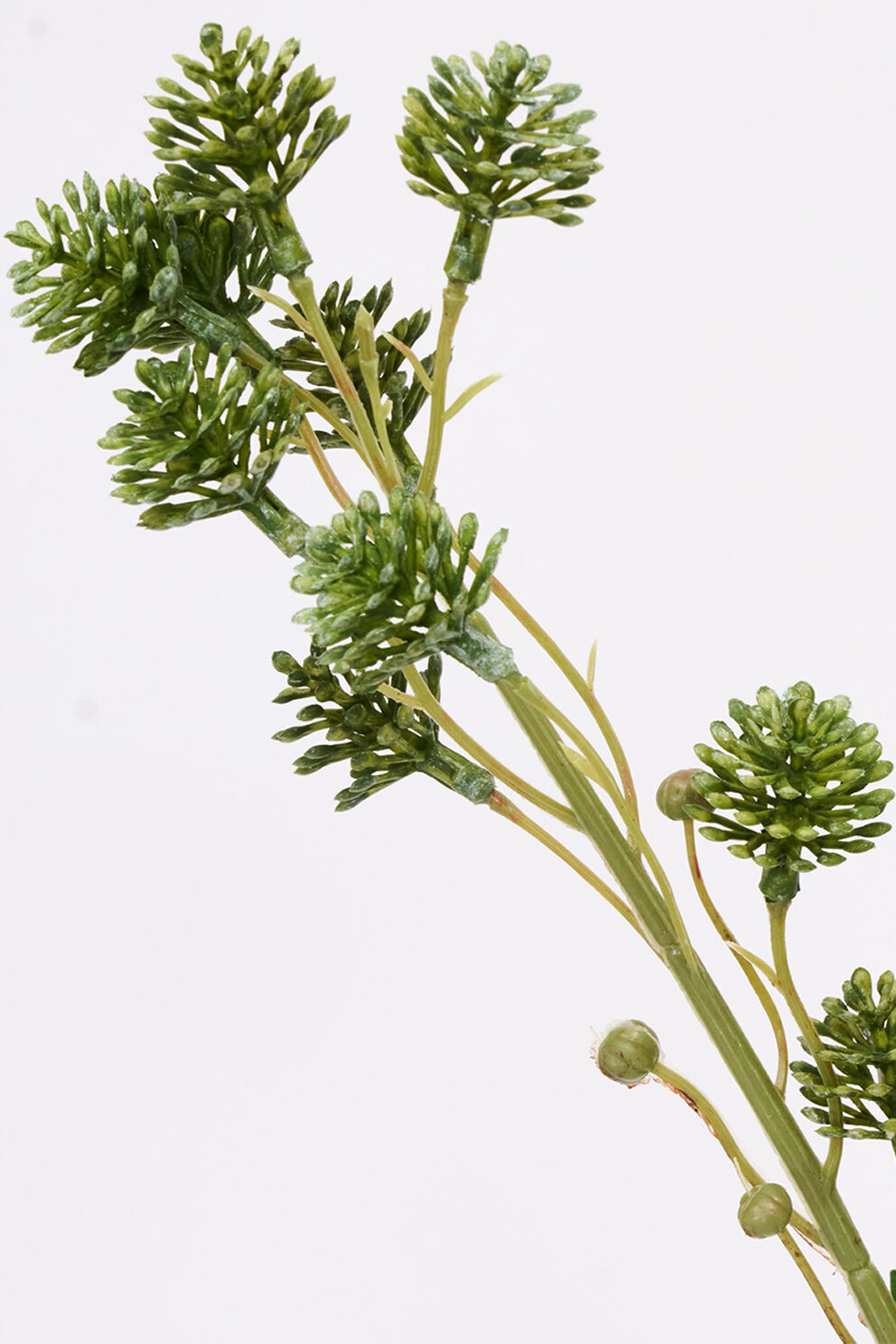 Kunstig gren, HDSedum, Grøn