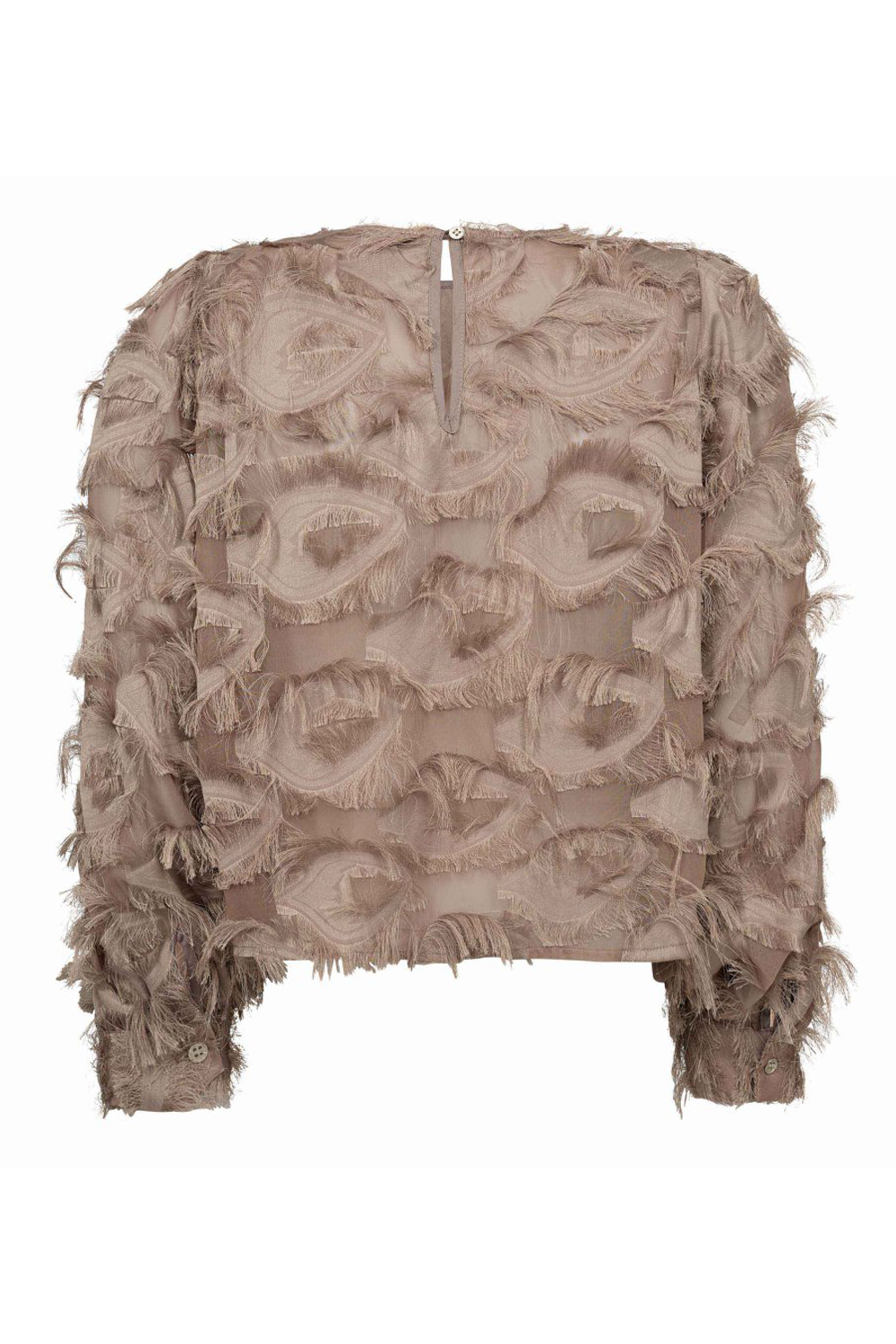 SyraCC Structure Bluse